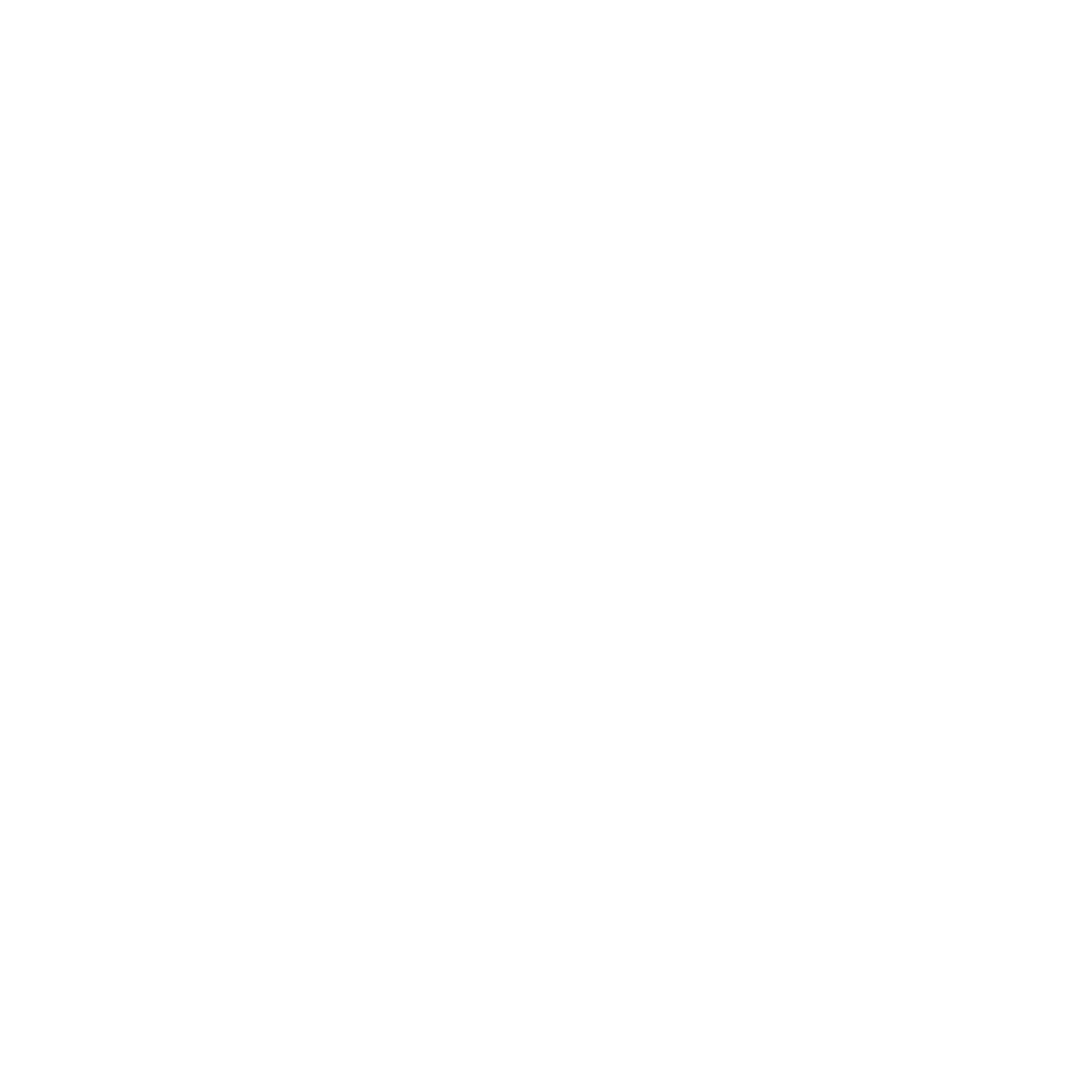 INSR IDENTITY S.R.L.